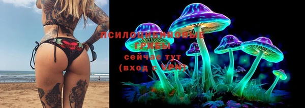 соль курить ск Алзамай
