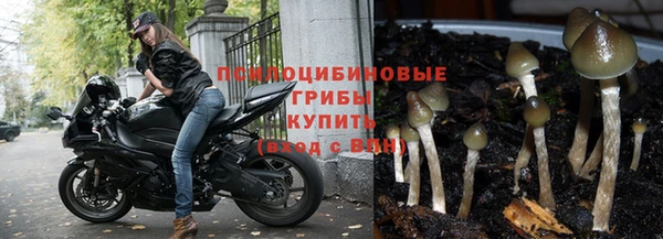 метамфетамин Гусев