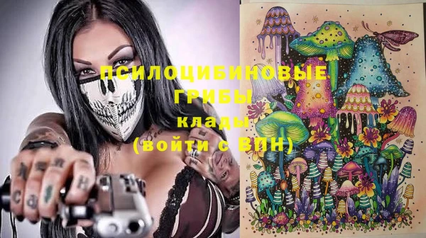 МДПВ Алексеевка