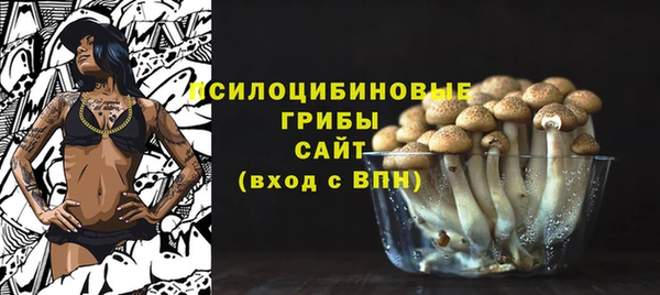 СК Гусиноозёрск